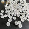 Warna Putih Hpht Rough Lab Grown Diamonds Uncut Lab Diamond 1ct
